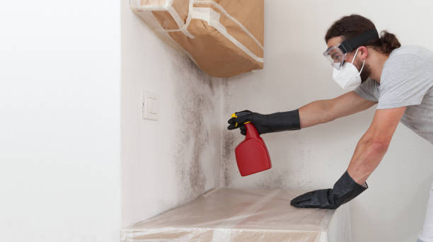 Professional Mold Inspection And Testing technician working in Drake, CO